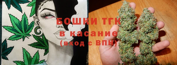 мяу мяу мука Иннополис
