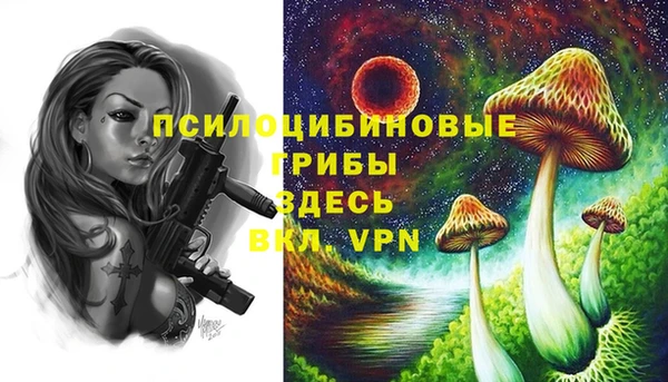 альфа пвп Инта