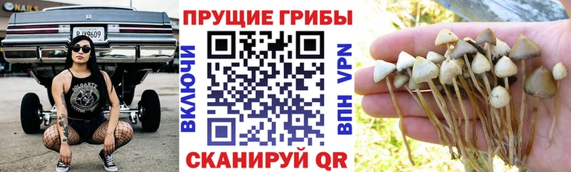 Псилоцибиновые грибы мухоморы  Лянтор 
